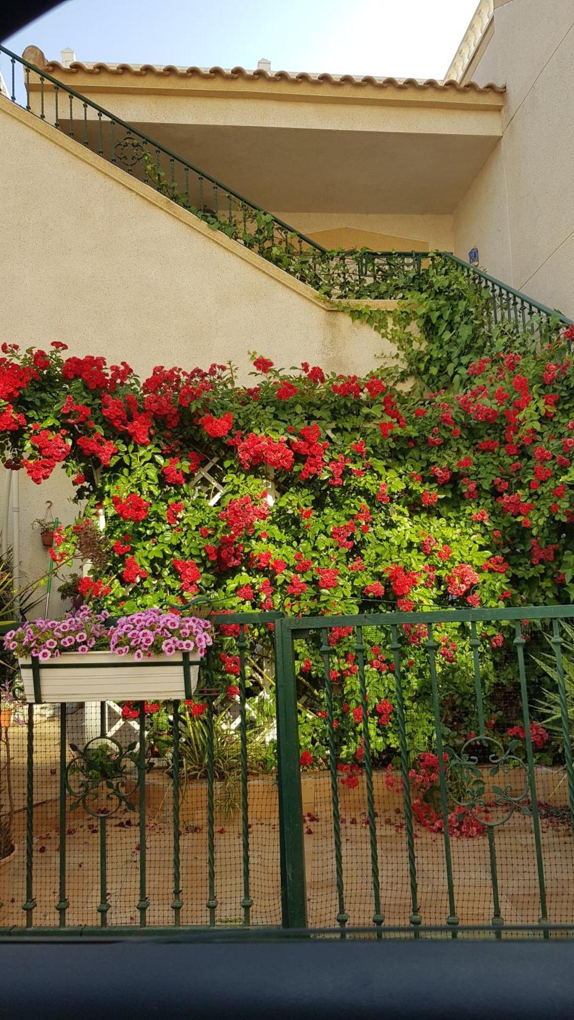 Los Dolses Apartamento Montegolf Con Terraza Privada מראה חיצוני תמונה